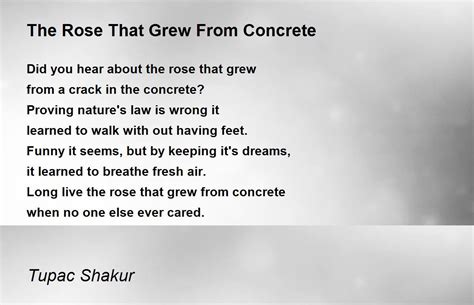 The Rose That Grew From Concrete Poem by Tupac Shakur - Poem Hunter