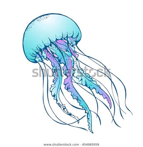 Jelly Fish Vector Illustration Stock Vector (Royalty Free) 454985959 | Fish sketch, Jellyfish ...