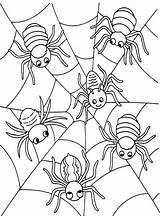Spiders On The Web coloring Page  Download Print Or Color Online For Free sketch template