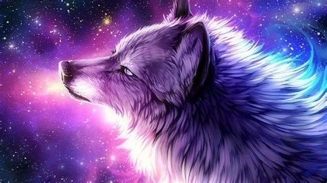 Galaxy Fox Wallpapers - Top Free Galaxy Fox Backgrounds - WallpaperAccess