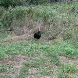 Zorinsky Lake Trail Full Loop - Nebraska | AllTrails