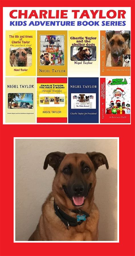 Kids Dog Adventure Book Series | Kids adventure books, Adventure book, Dog adventure