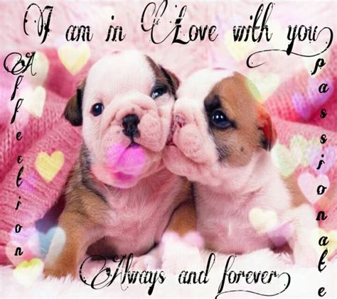 Puppy Love Wallpapers - Top Free Puppy Love Backgrounds - WallpaperAccess