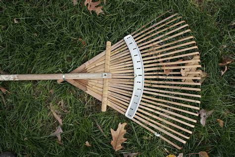 12 Types of Rakes: Uses and Tips