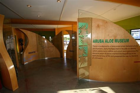 Aruba Museums - The Aruba Aloe Museum & Factory - VisitAruba.com