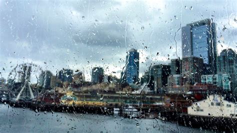 Seattle experiences the 5th rainiest day on record | king5.com