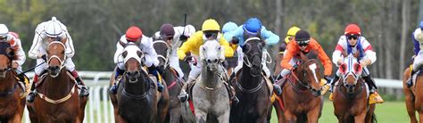 Race Diary - Racing NSW Country