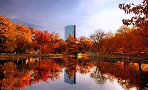 Autumn in Boston by MyLifeThroughTheLens on DeviantArt