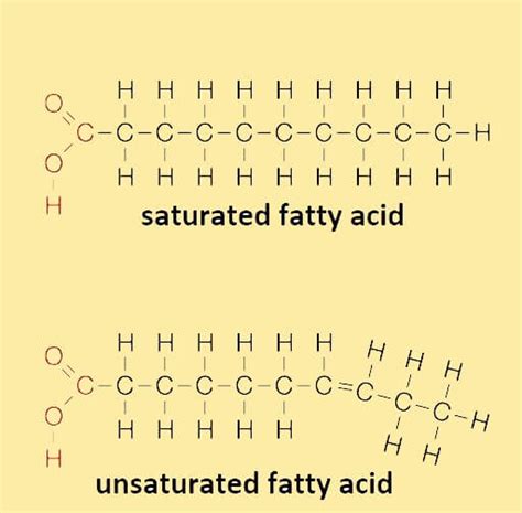 Fatty Acids - Javatpoint