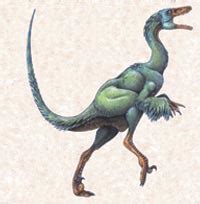 The End of the Road for Troodon formosus