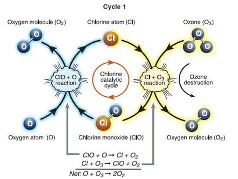 The Ozone Hole