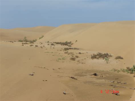 Medanos De Coro National Park, Intercomunal Coro - Punto Fijo, Falcón ...