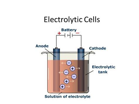 Electrolytic Cell | 387 plays | Quizizz