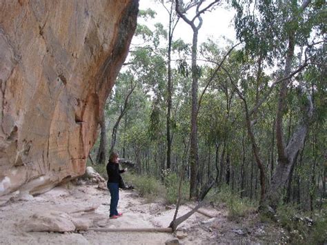 Sandstone Caves (Coonabarabran): UPDATED 2020 All You Need to Know Before You Go (with PHOTOS)