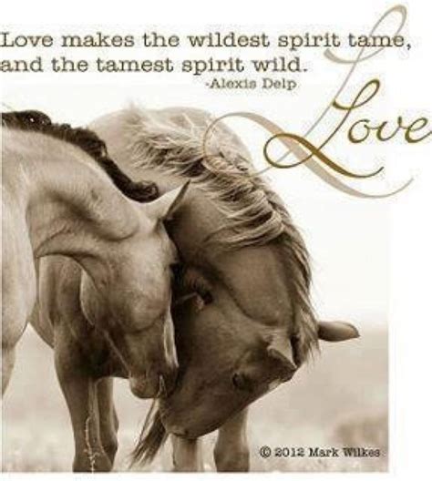 Spirit Horse Quotes. QuotesGram