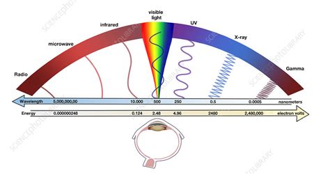 Electromagnetic Waves Diagram