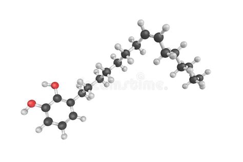 3d Structure Of Urushiol, An Oily Organic Allergen Found In Plant Stock Illustration ...