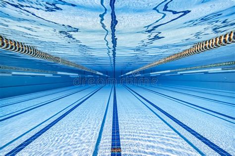 Top View of a Olympic-size Swimming Pool Stock Photo - Image of swim ...