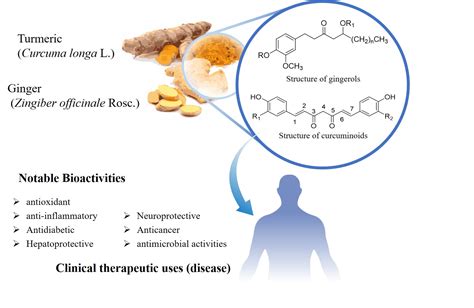 Antioxidants | Free Full-Text | Bioactive Compounds from the ...