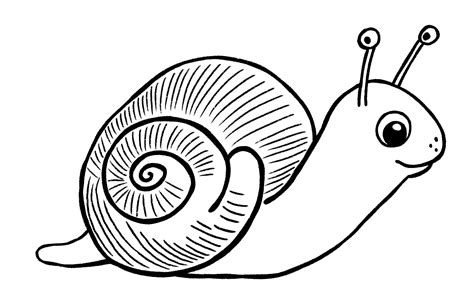 How To Draw Snail Cartoon Drawing Cute Snail Coloring Pages For Beginners – NBKomputer