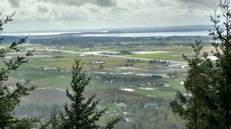 Day Hike - Little Mountain Park — The Mountaineers