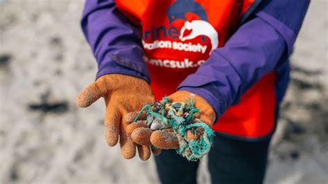 Coastline litter decreasing - but plastic still making up majority of beach waste, study ...