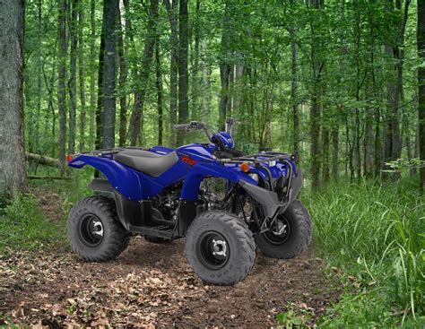 2021 Yamaha Grizzly 90|Yamaha - M.A.N. Services sells and services a range of vehicles and ...