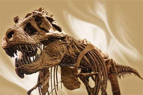 15 Cool Places to See Dinosaurs in Texas - Lone Star Travel Guide