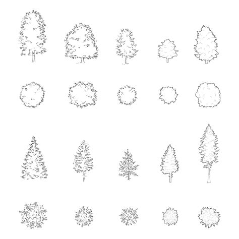 FREE Trees DWG CAD Blocks in Plan and Elevation – Cadnature