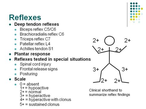 Neurological Exam - Stepwards