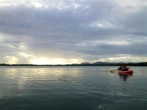 Tickets & Tours - Bioluminescent Bay (Mosquito Bay), Vieques - Viator