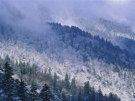 Winter Cades Cove Smoky Mountains Wallpapers - Wallpaper Cave