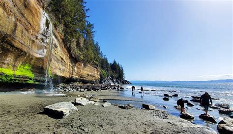 10 Top Hiking Trails on Vancouver Island, BC | PlanetWare