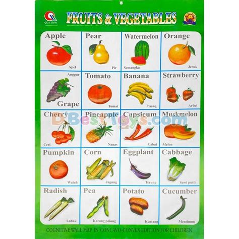 Winter Fruits And Vegetables Chart