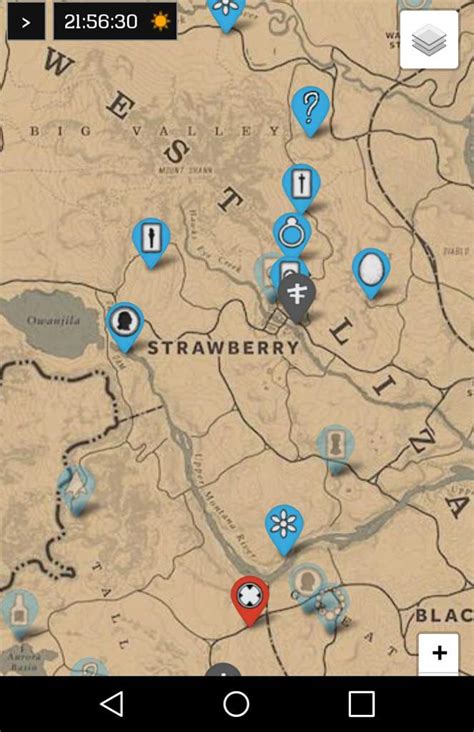 Red Dead Redemption II Collector Map | The Red Dead Redemption Amino