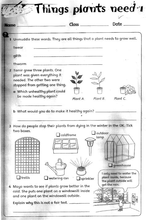 The City School: Grade 3 Science Reinforcement Worksheets