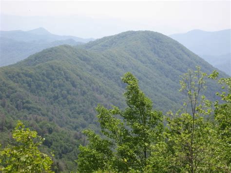 Balsam Mountain Road (Parc national des Great Smoky Mountains) : 2021 Ce qu'il faut savoir pour ...