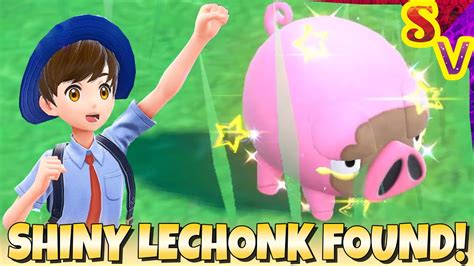 Shiny Lechonk Found Using Outbreak Method in Pokemon Violet! - YouTube