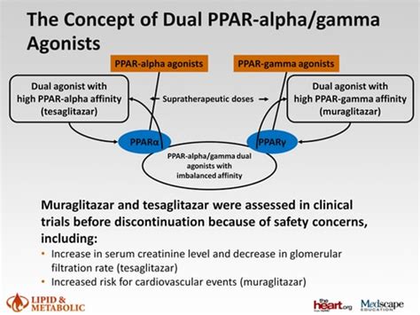 Dilemmas in Diabetes and Cardiovascular Disease: Positioning PPAR Agonists to Address the Big ...