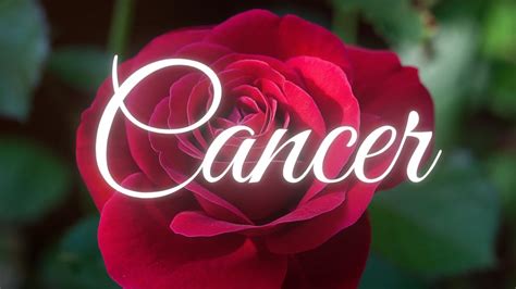 CANCER LOVE TODAY - THEY KNOW THEY’LL NEVER FIND LOVE LIKE YOU AGAIN!! - YouTube