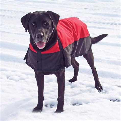 Dura-Tech® Insulated Waterproof Dog Coat in Dog Coats & Jackets at Schneider Saddlery