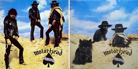 Somebody recreated famous album covers with cats and it's so much better (Gallery)