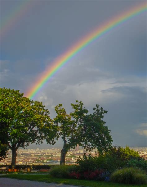 What Are The Most Common Rainbow Children Traits? | Indigo Test For Children & Adults