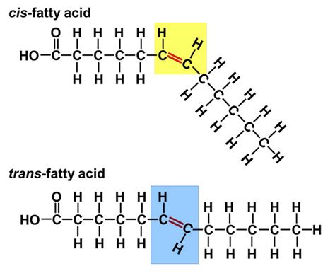 Healthy fats