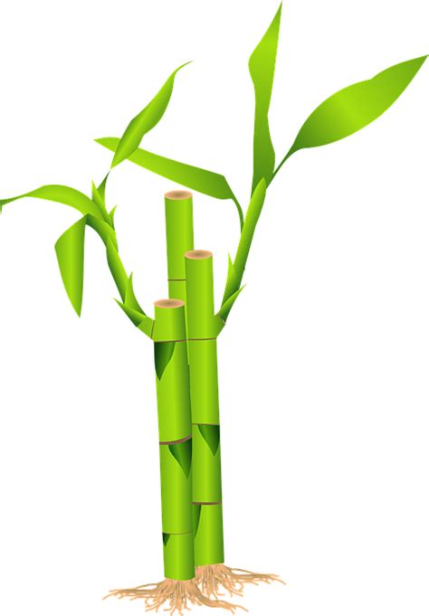 Vector gratis: De Bambú, Hierba, Japón, Selva - Imagen gratis en Pixabay - 159809