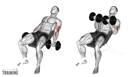 Incline Dumbbell Biceps Curls - Instructions, Information & Alternatives » Training.fit