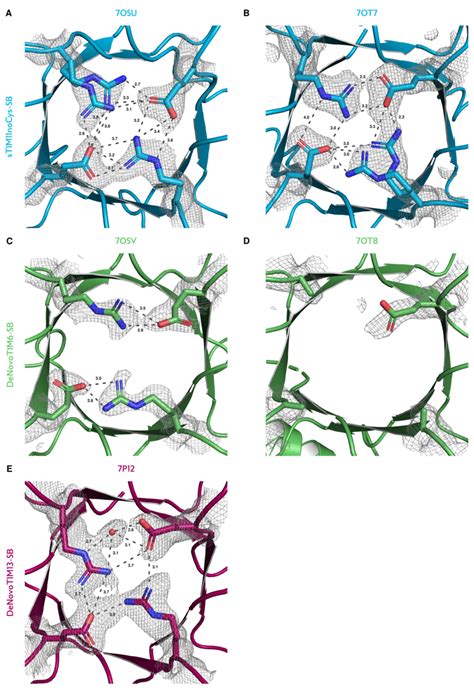 Supplementary Figure 6. Comparison of the salt bridge interactions for ...