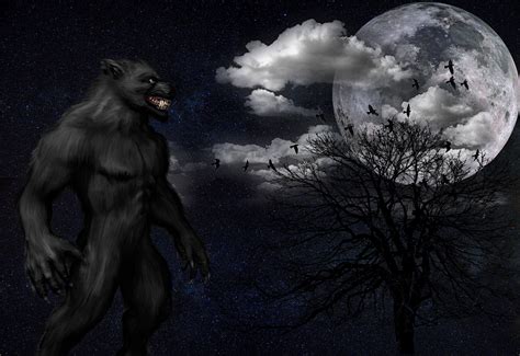 Download mobile wallpaper: Monster, Full Moon, Werewolf, Night, Starry Sky, Grin, Art, free. 138942.