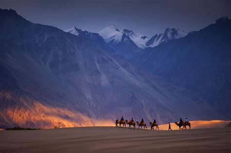 Nubra Valley: The gardens of Ladakh - Indus Dispatch