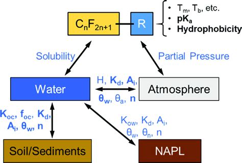 Potential interactions of PFAS compounds among the phases in the ...